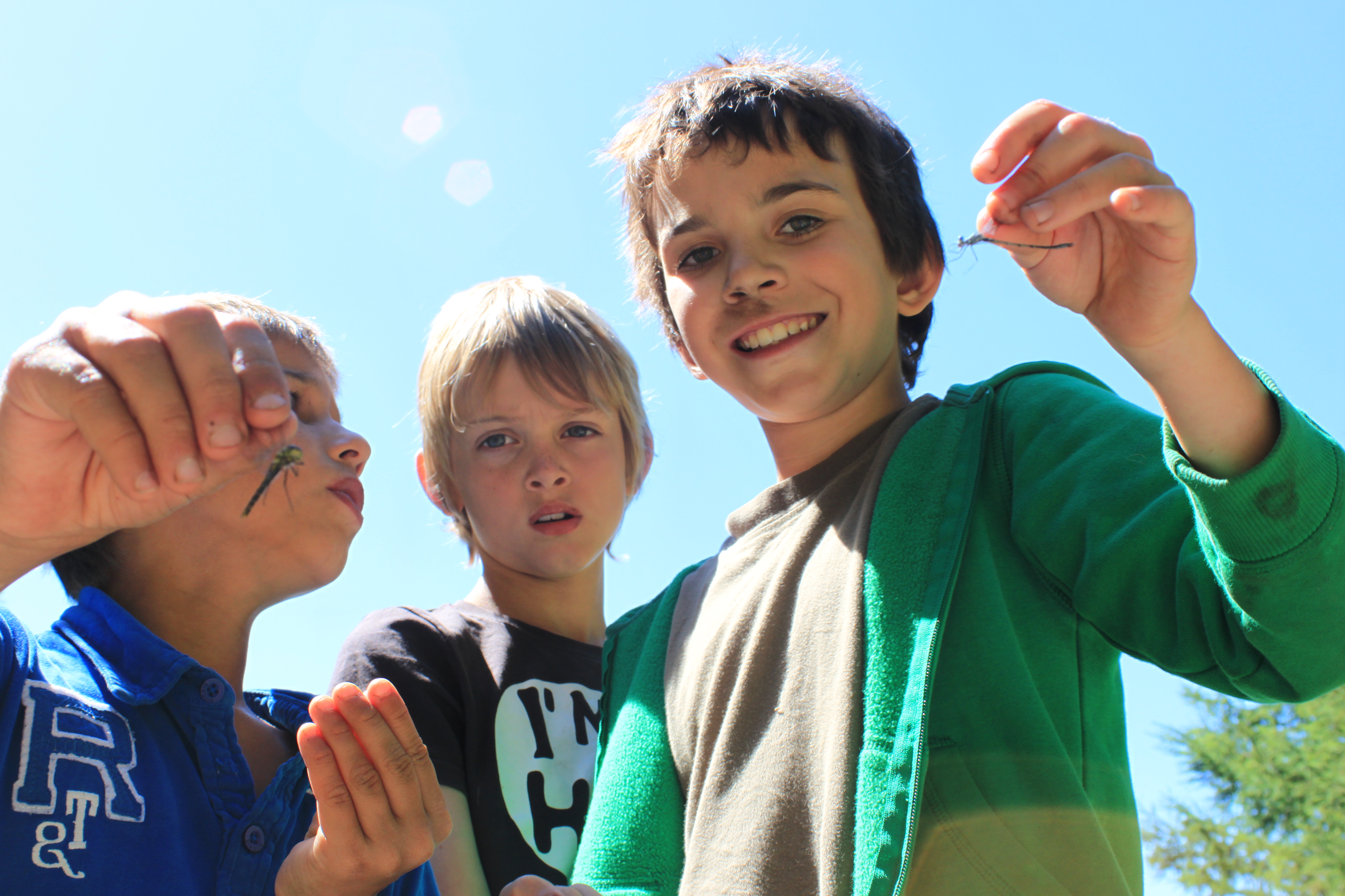 Enfants participant à une colonie avec possibilité de changer de thème chaque semaine