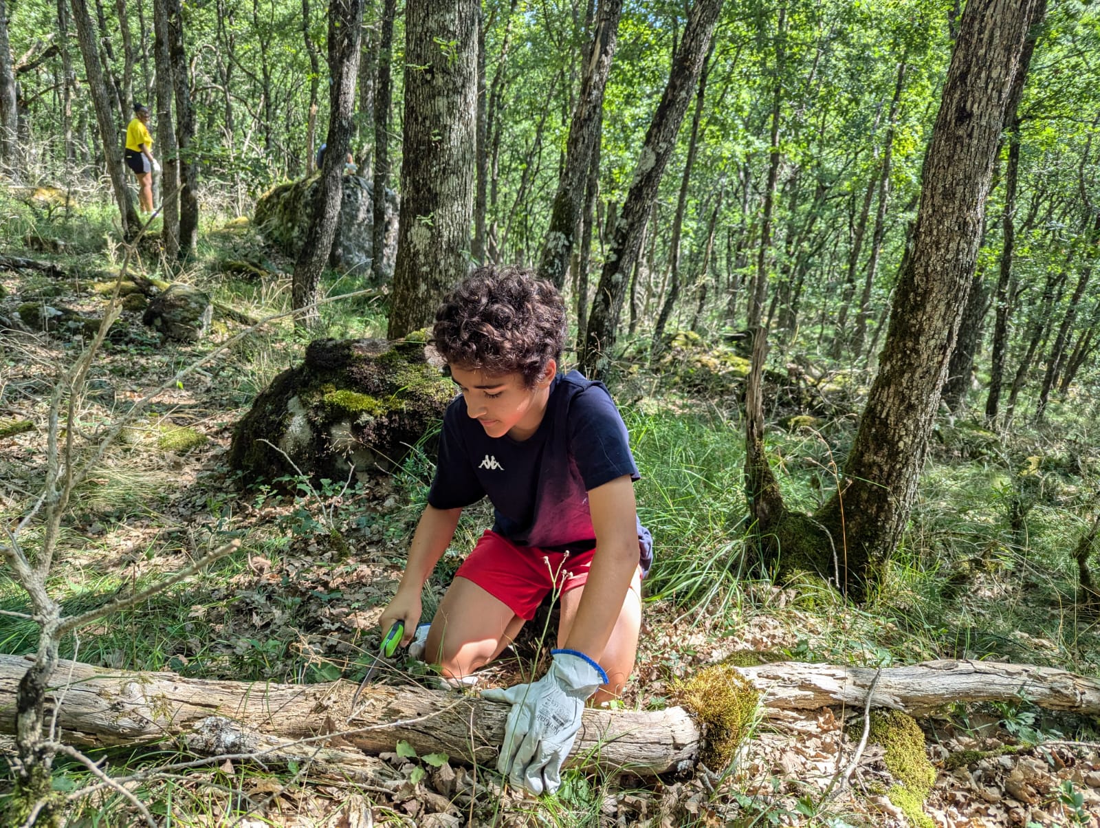 Jeunes aventuriers récupérant des matériaux naturels pour leur séjour construction cabane