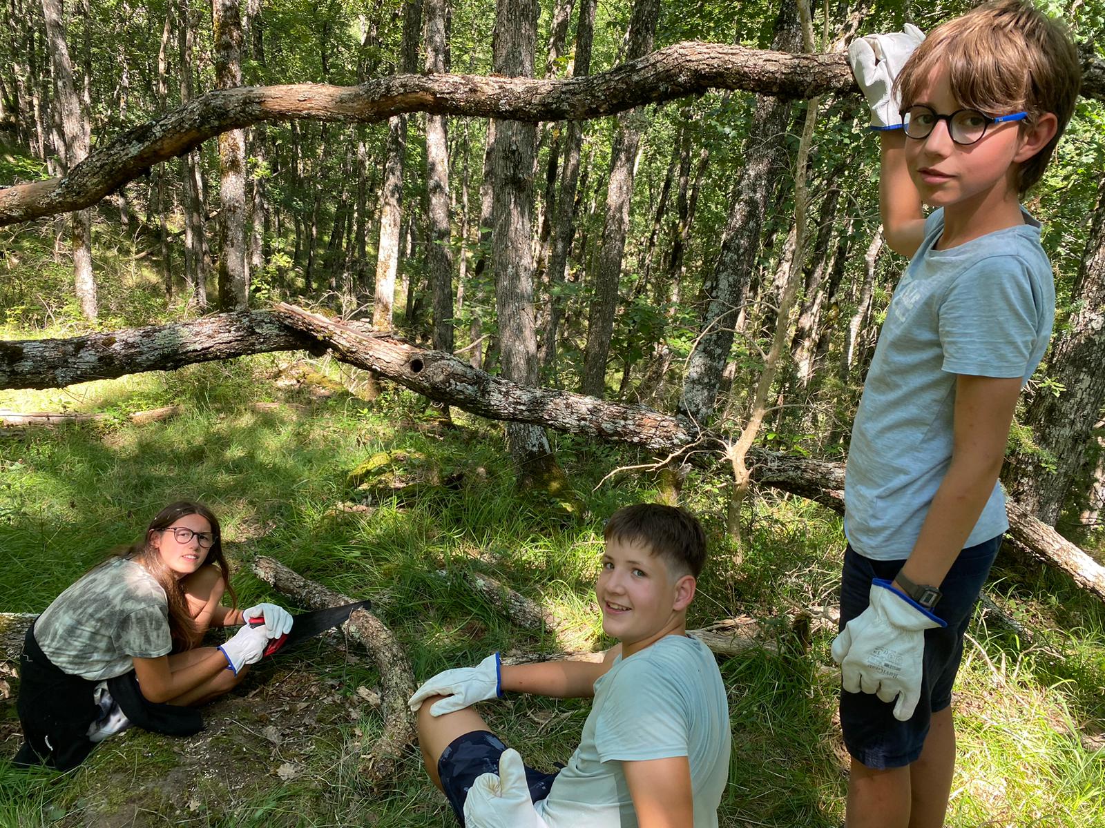 Groupe d'enfants travaillant ensemble à l'assemblage d'une cabane dans les bois