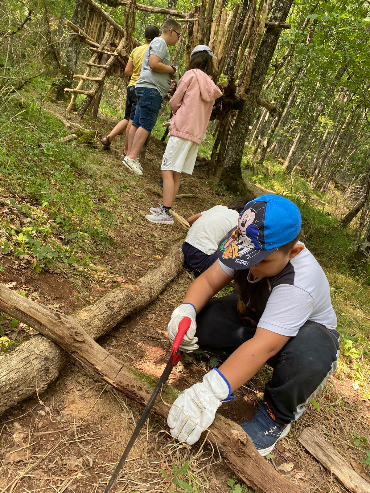 Construction collaborative d'une cabane en bois lors d'une colonie de vacances 6-17 ans