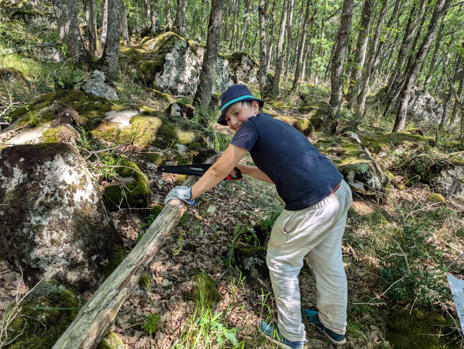 Séjour aventure construction cabane avec apprentissage du travail en équipe