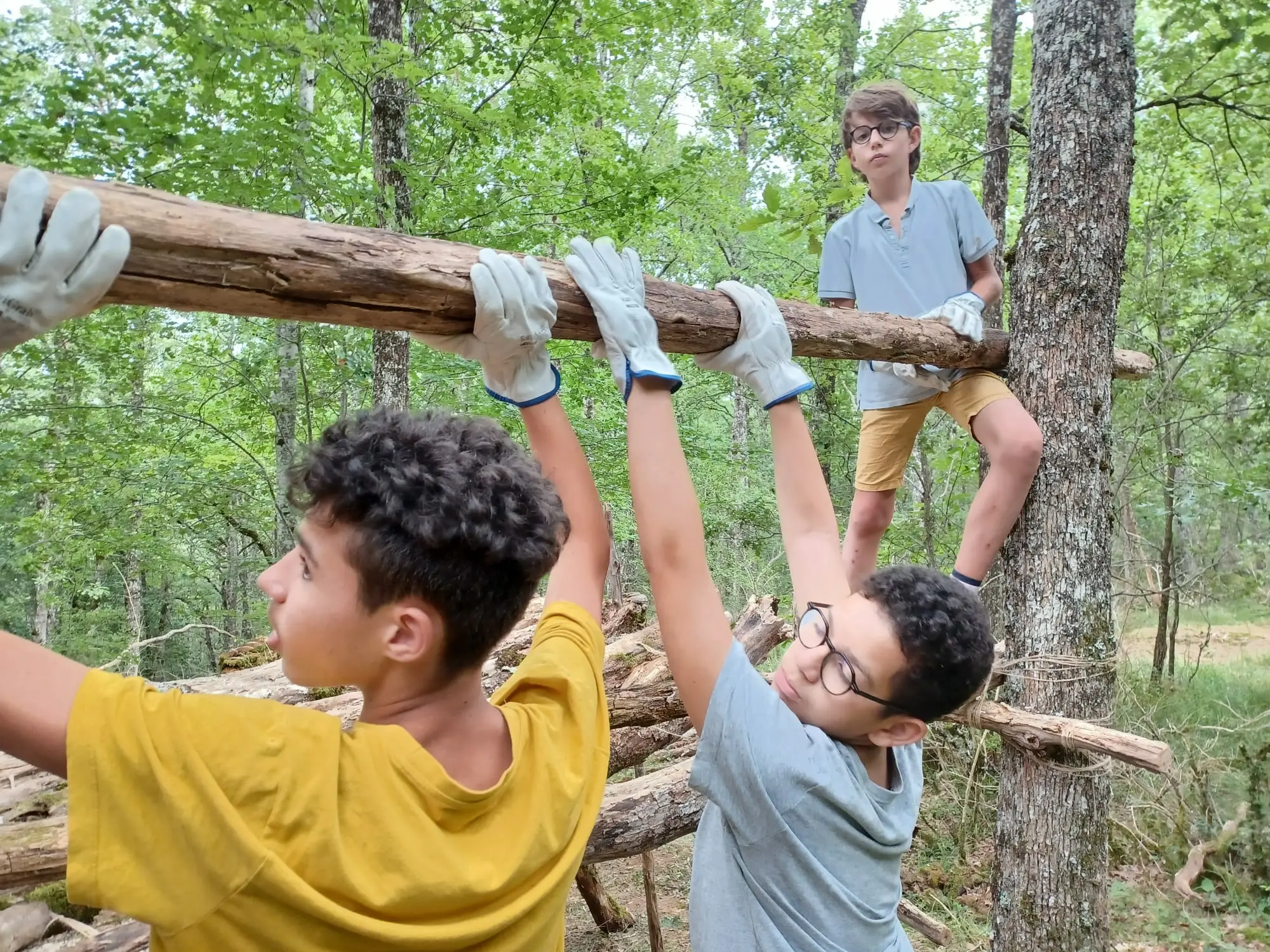 Jeunes explorateurs assemblant le toit de leur cabane avec mousse et feuilles