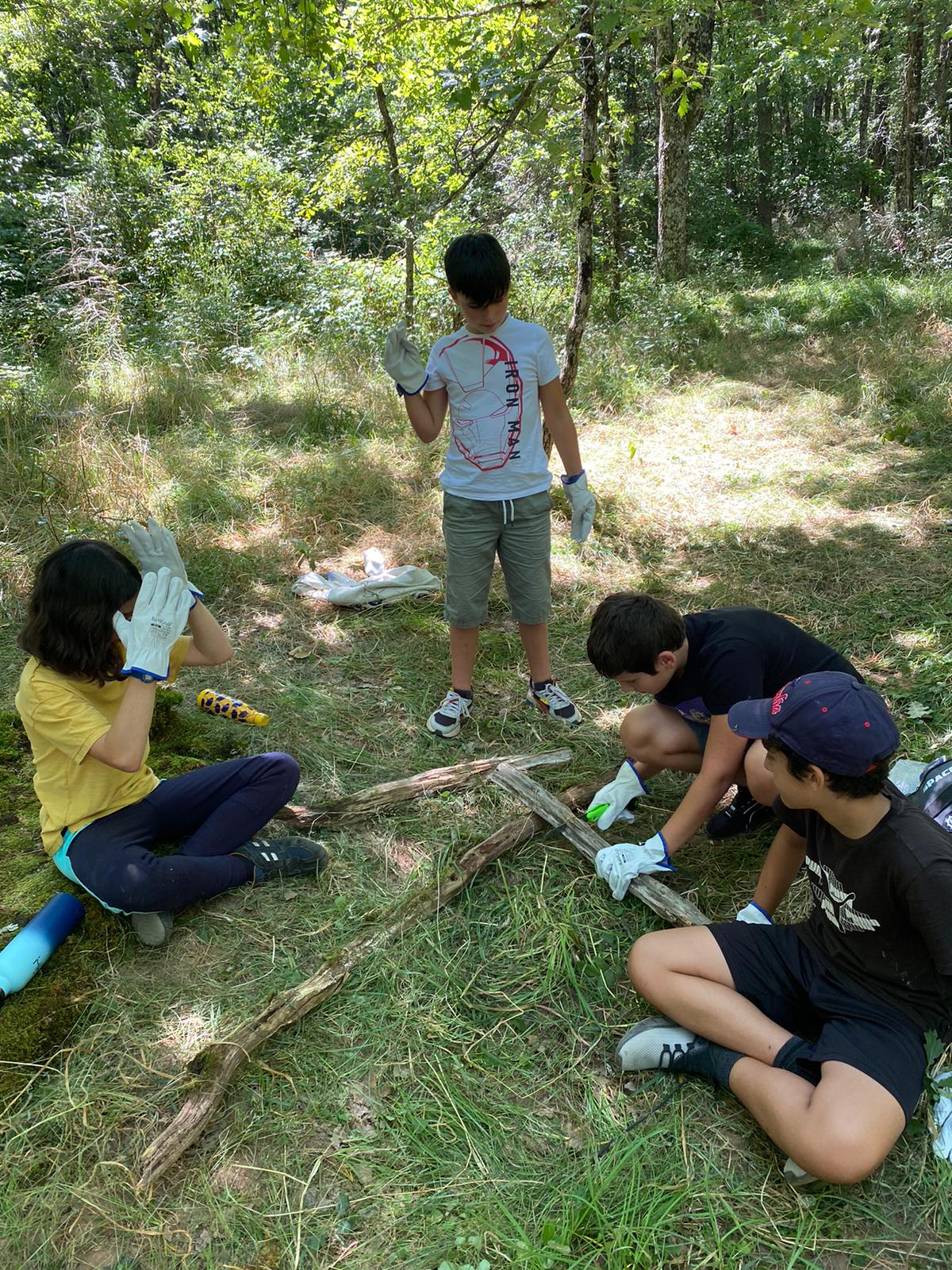 Cabane terminée dans la forêt du domaine de Fohet en Auvergne