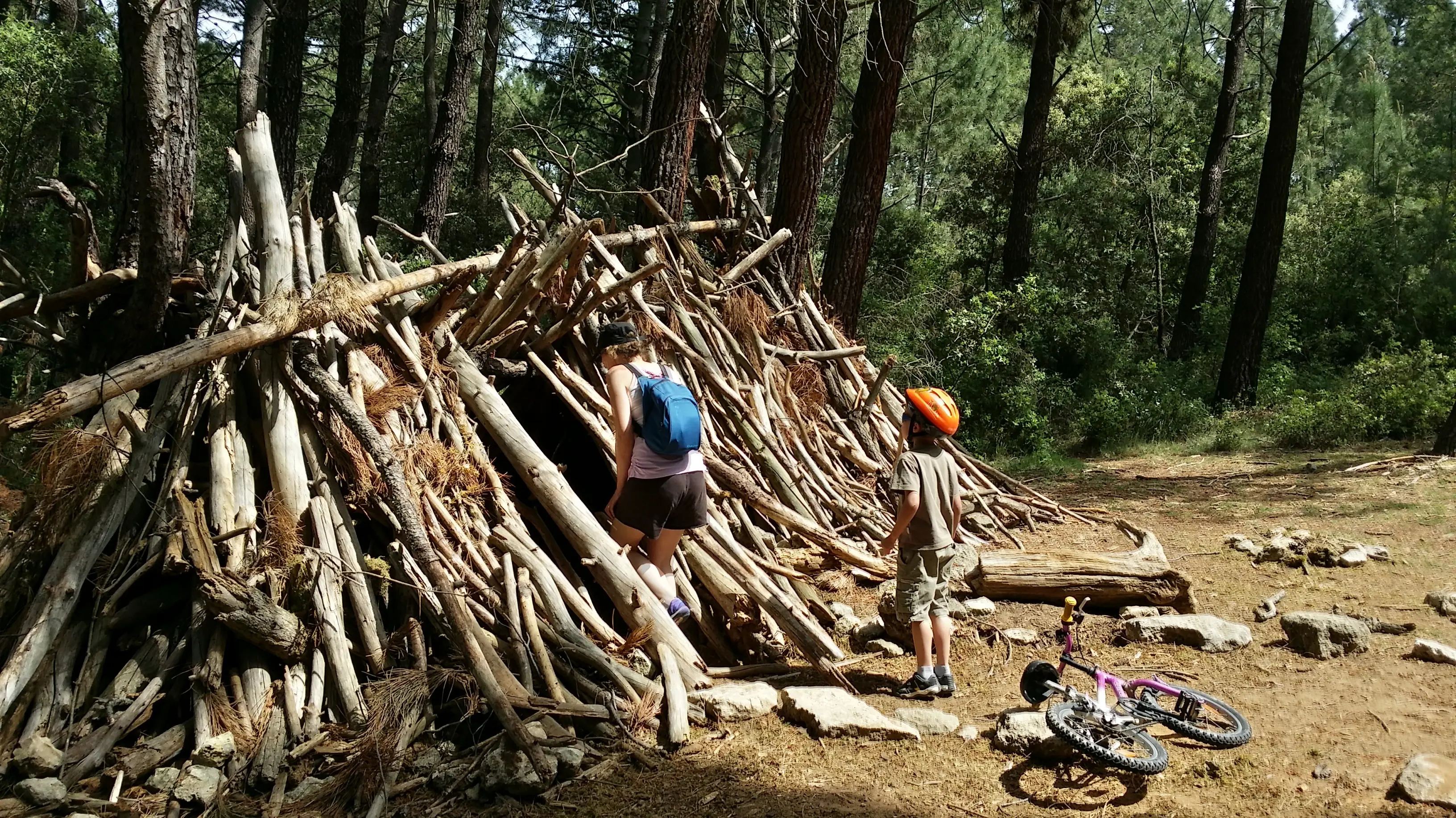 Groupe découvrant les meilleurs arbres pour construire une cabane solide
