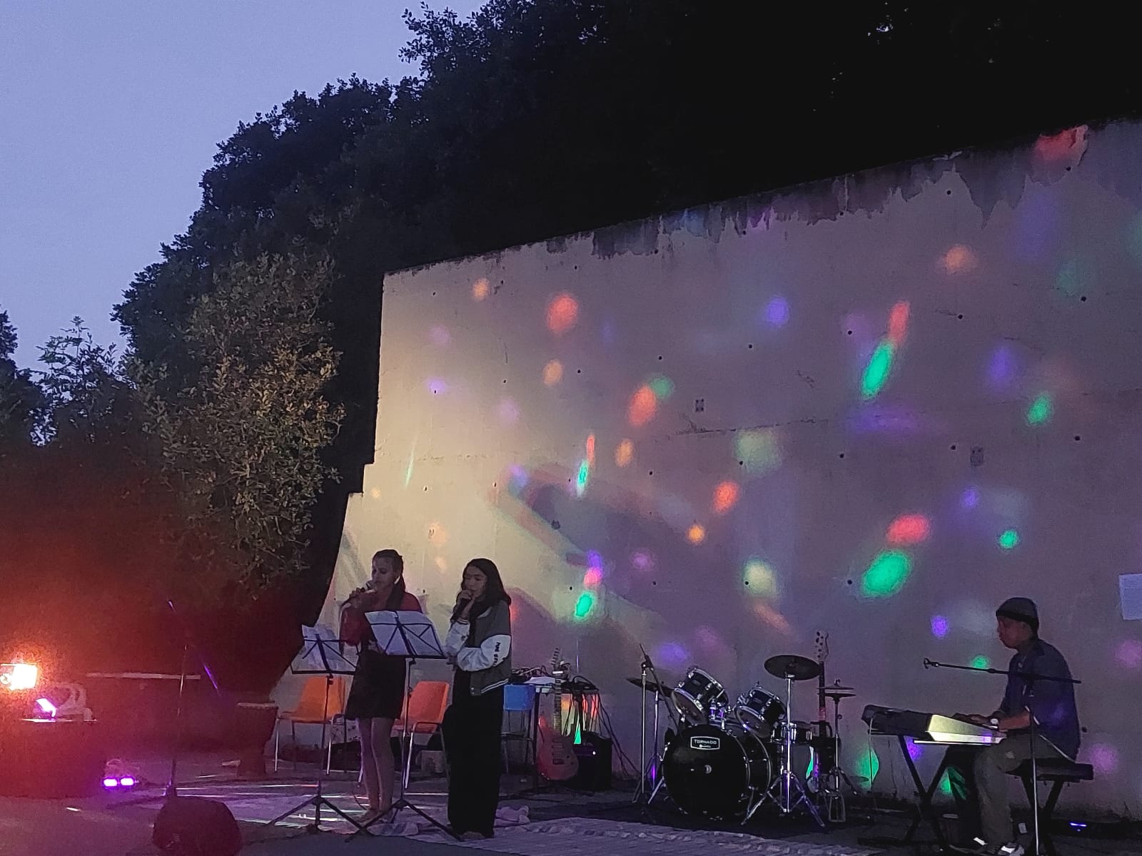 Enfants découvrant les instruments lors d'un séjour artistique