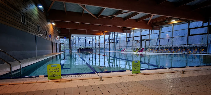 Jeunes aventuriers de 6 à 12 ans en accrobranche au Mont-Dore en Auvergne