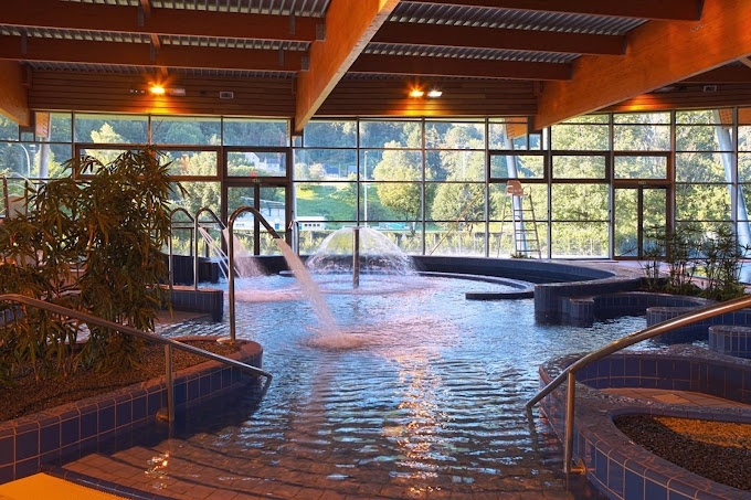 Jeunes participants sur les parcours dans les arbres lors d'un séjour en Auvergne