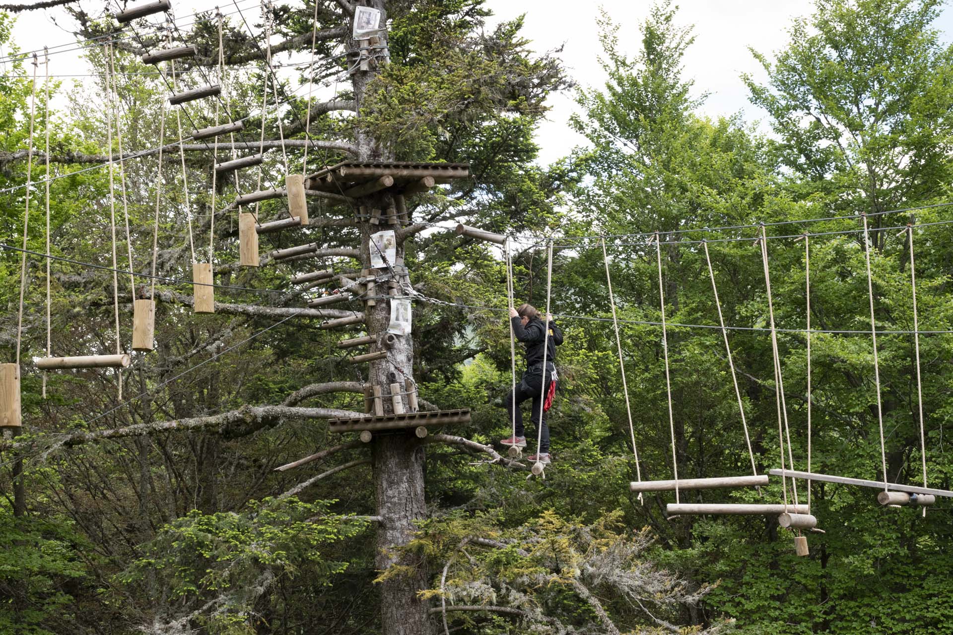 Groupe d'aventuriers explorant les sentiers auvergnats en cani-rando