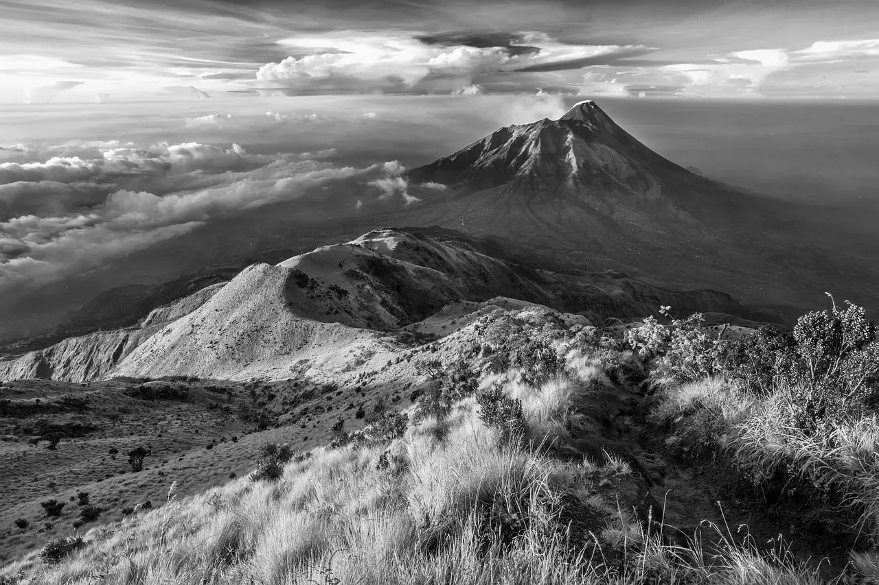 Groupe d'enfants observant la chaîne des Puys lors d'une colo volcans gocolo