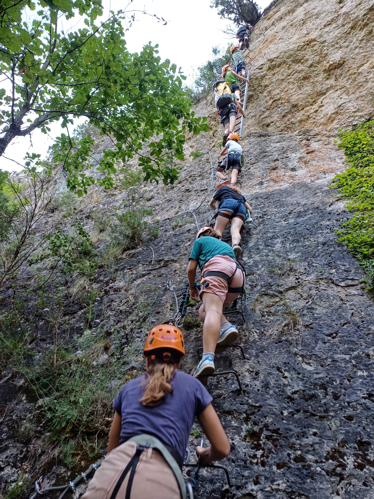 Groupe d'enfants sur les tyroliennes au Vallon lors d'une colo sensations gocolo