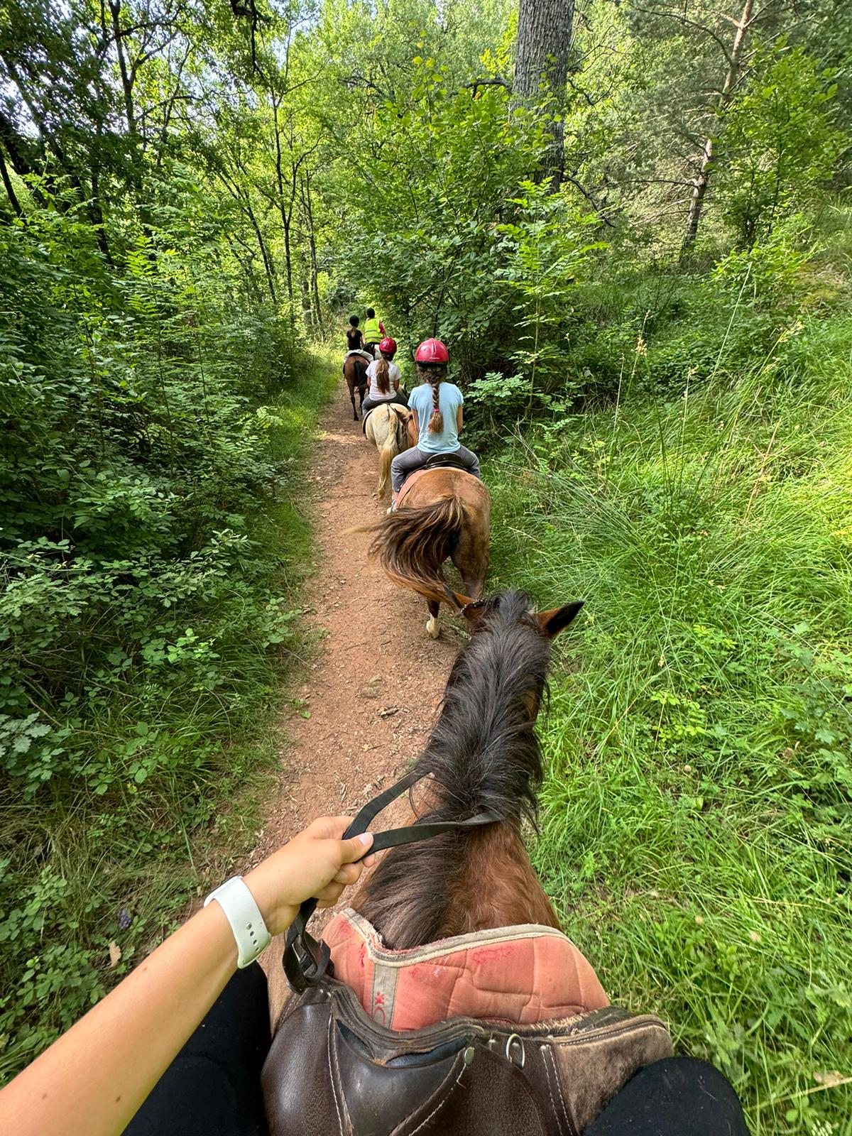 Groupe d'enfants en balade à poney sur les sentiers caussenards lors d'une colo gocolo