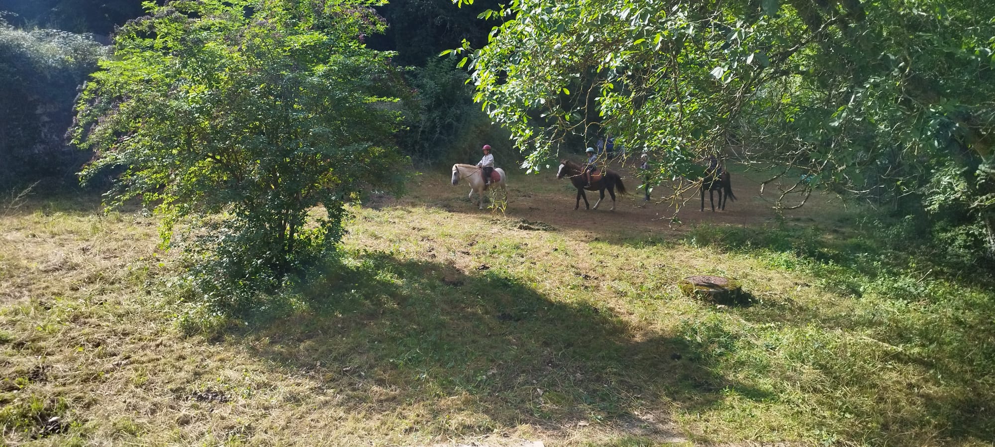 roupe de cavaliers en herbe affrontant les dénivelés à poney lors d'un séjour gocolo