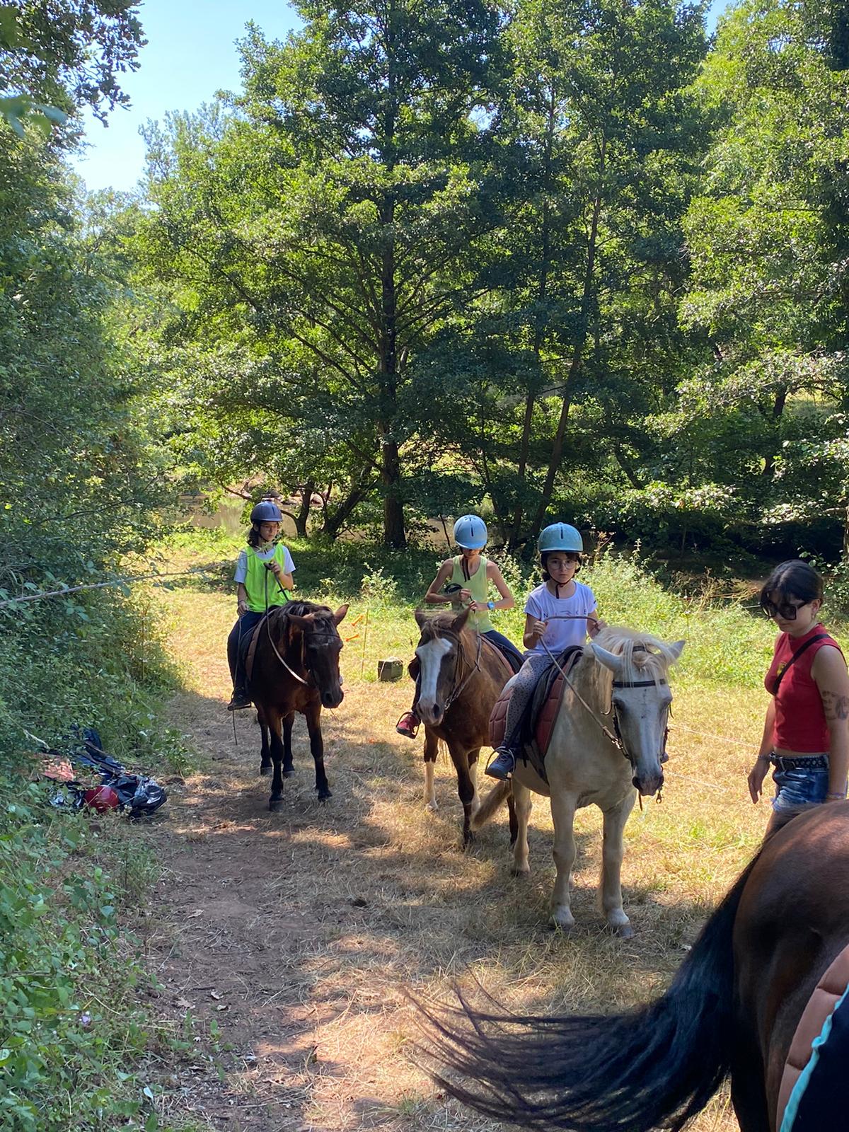 Jeunes de 6 à 14 ans brossant leur poney au domaine de Moulibez