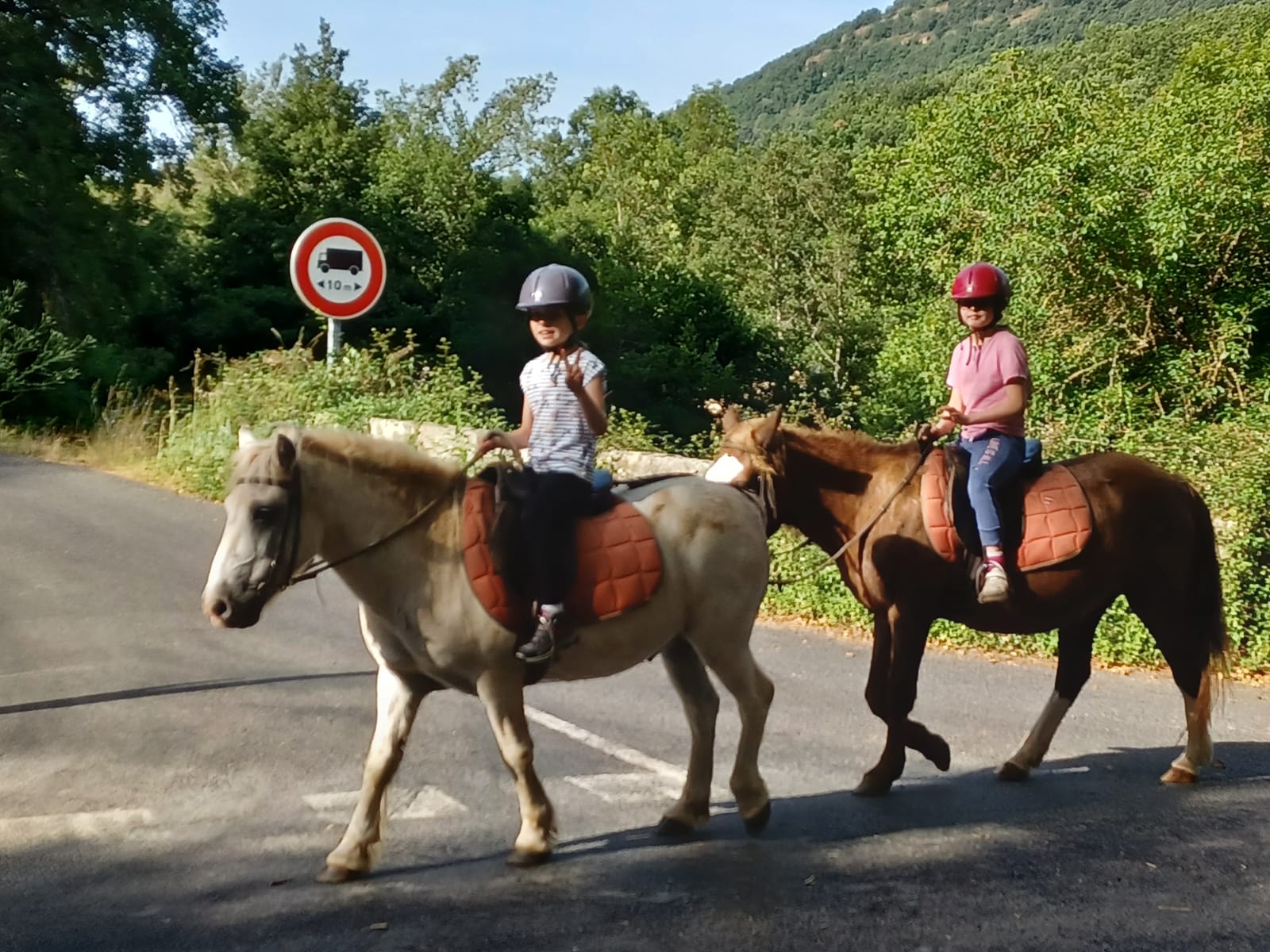 Atelier soins des poneys et apprentissage pour débutants en stage équestre